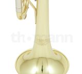  Kèn Trumpet Bb Thomann TR200S Laquered 