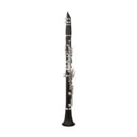  Kèn Clarinet RZ Capriccio Bb 18/6 