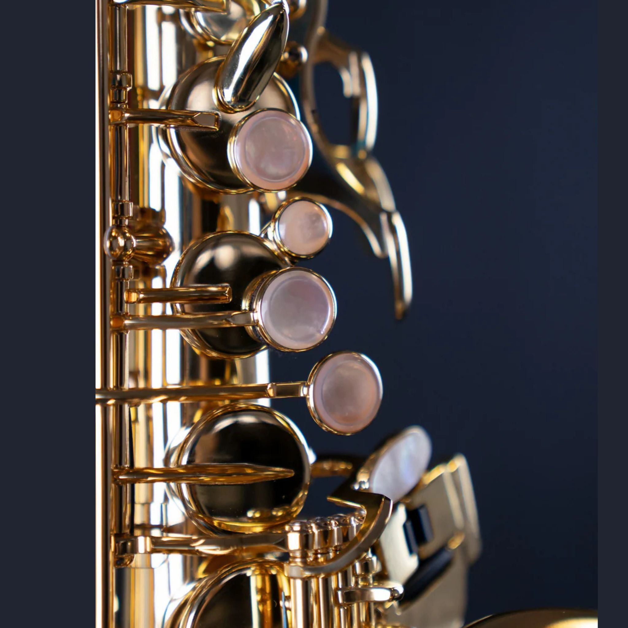  Kèn Saxophone Alto Selmer SA80 II Gold Lacquered 