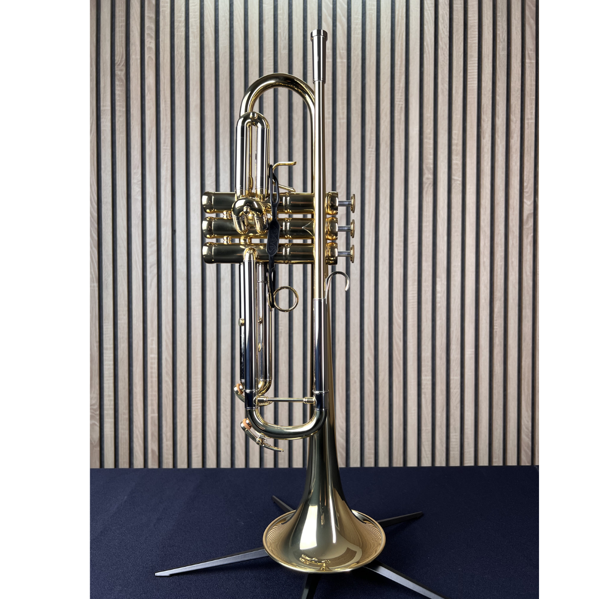  Kèn Trumpet Adams -Le Rich Laquered 