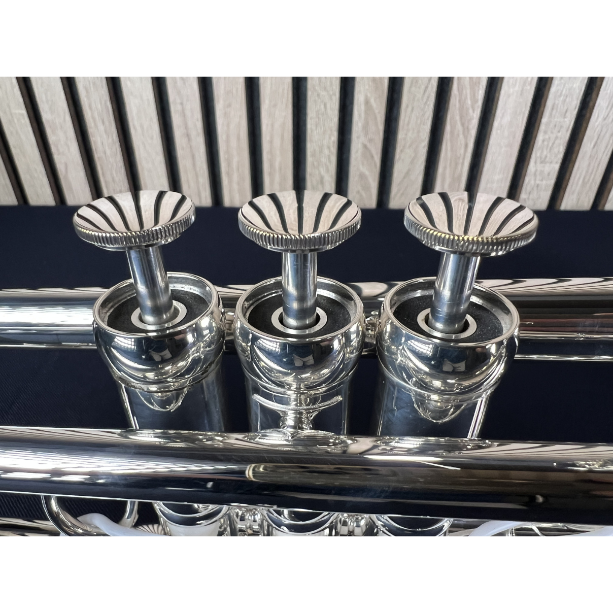  Kèn Trumpet Adams -Le Rich Silver Plated 