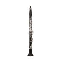  Kèn Clarinet RZ Base Bb CL3501-0 