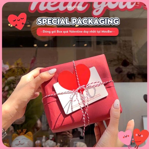  COMBO SET QUÀ VALENTINE DIGICAM - MÁY ẢNH KĨ THUẬT SỐ - READY TO GIFT BY MÈOBER 