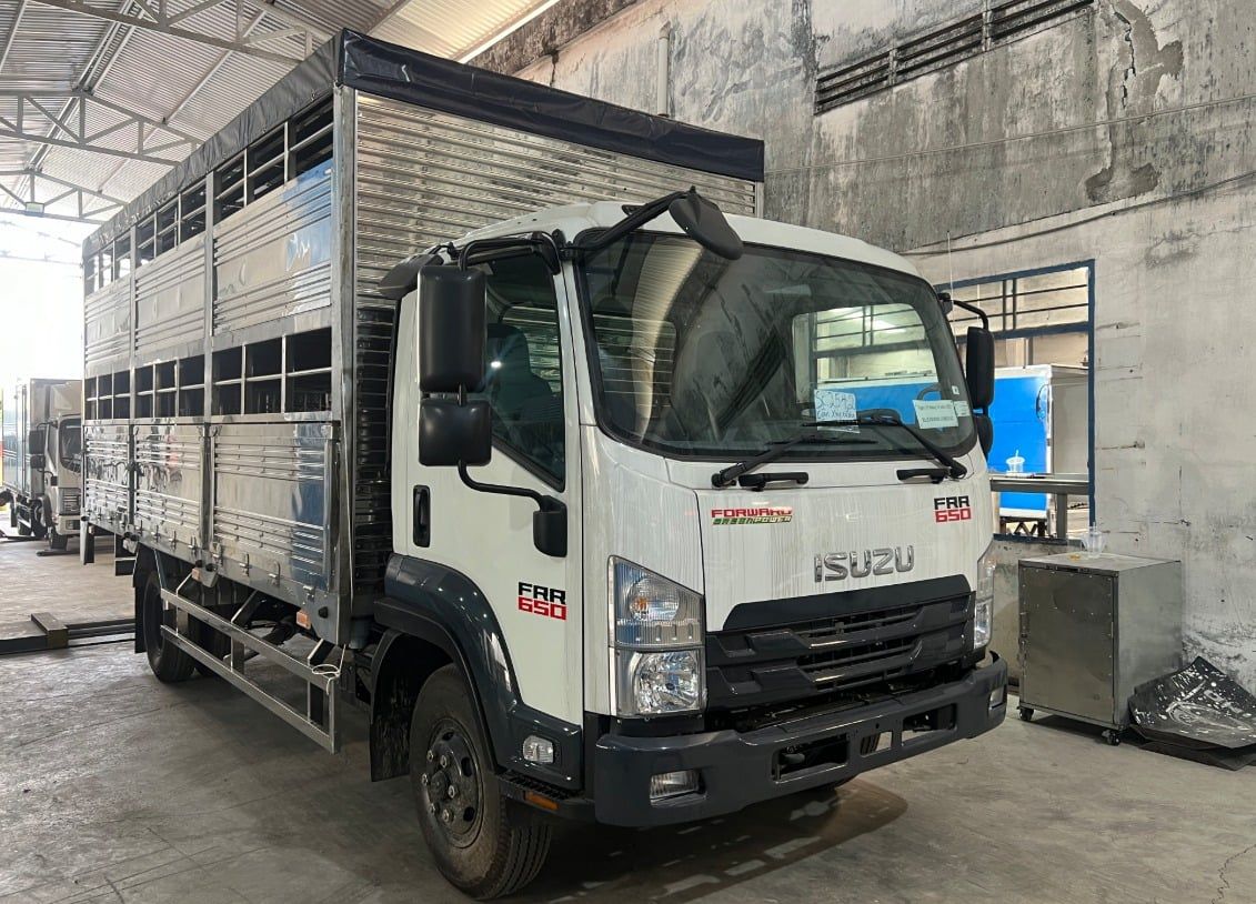  Isuzu FRR 650 Xe Chở Heo (Gia Súc) 