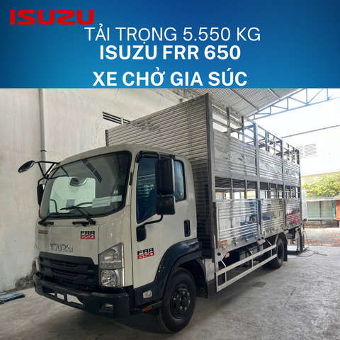 Isuzu FRR 650 Xe Chở Heo (Gia Súc)