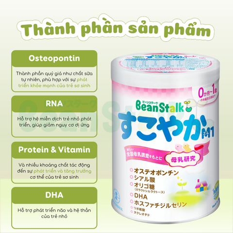Sữa Beanstalk Nhật Bản Dạng Lon, Thanh 800g - Sữa Bột Công Thức