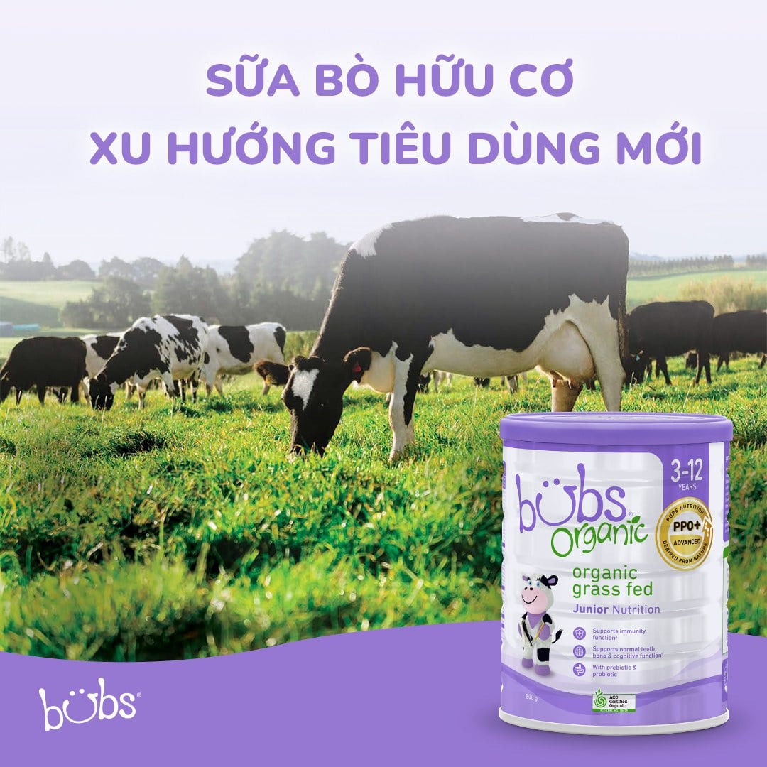 Sữa Bột Bubs Organic 800g, 600g - Sữa Bột Công Thức
