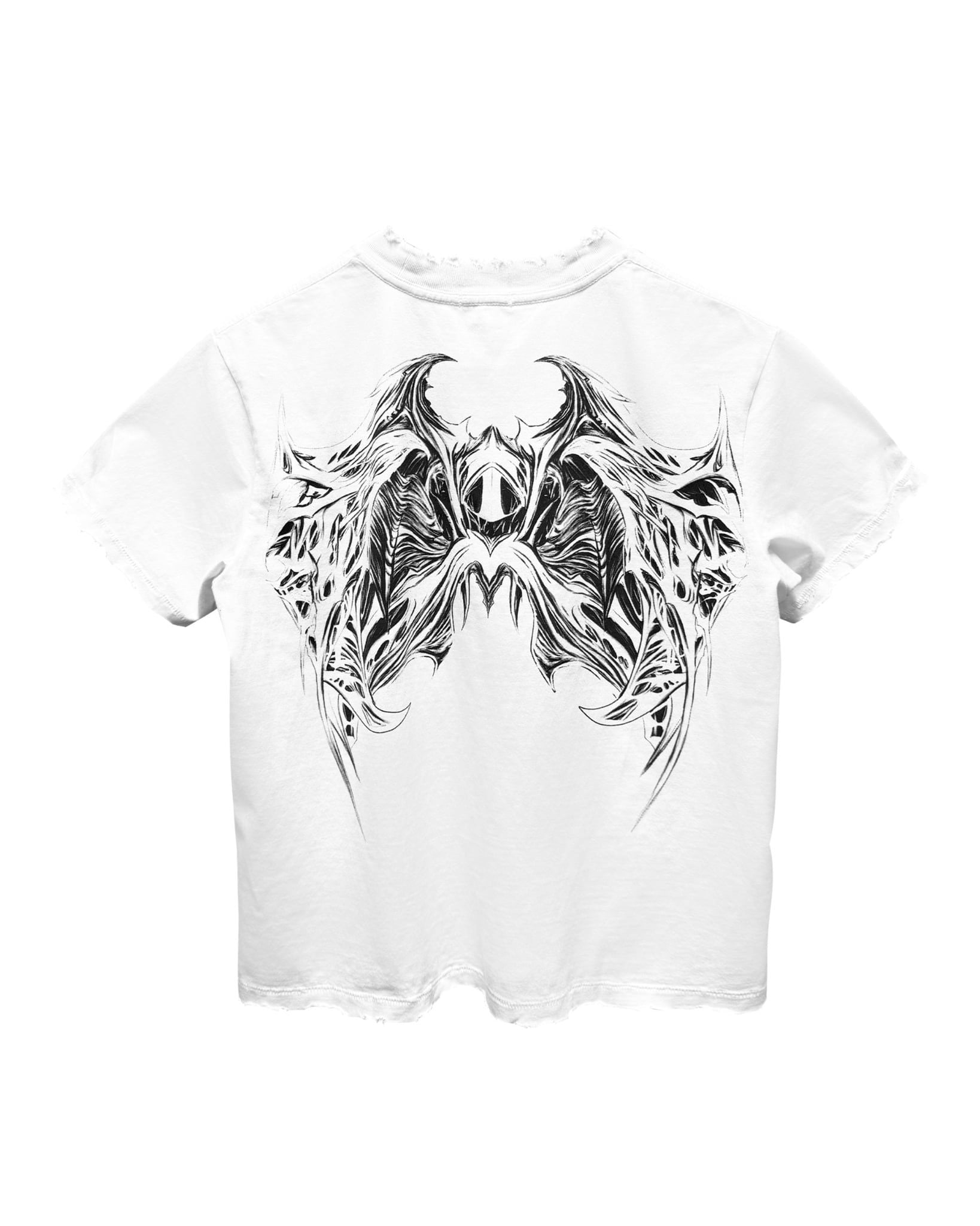 ALCYUS | HDG M-TEE