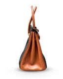 ALCYUS | 26-LCBC BAG (Preorder)
