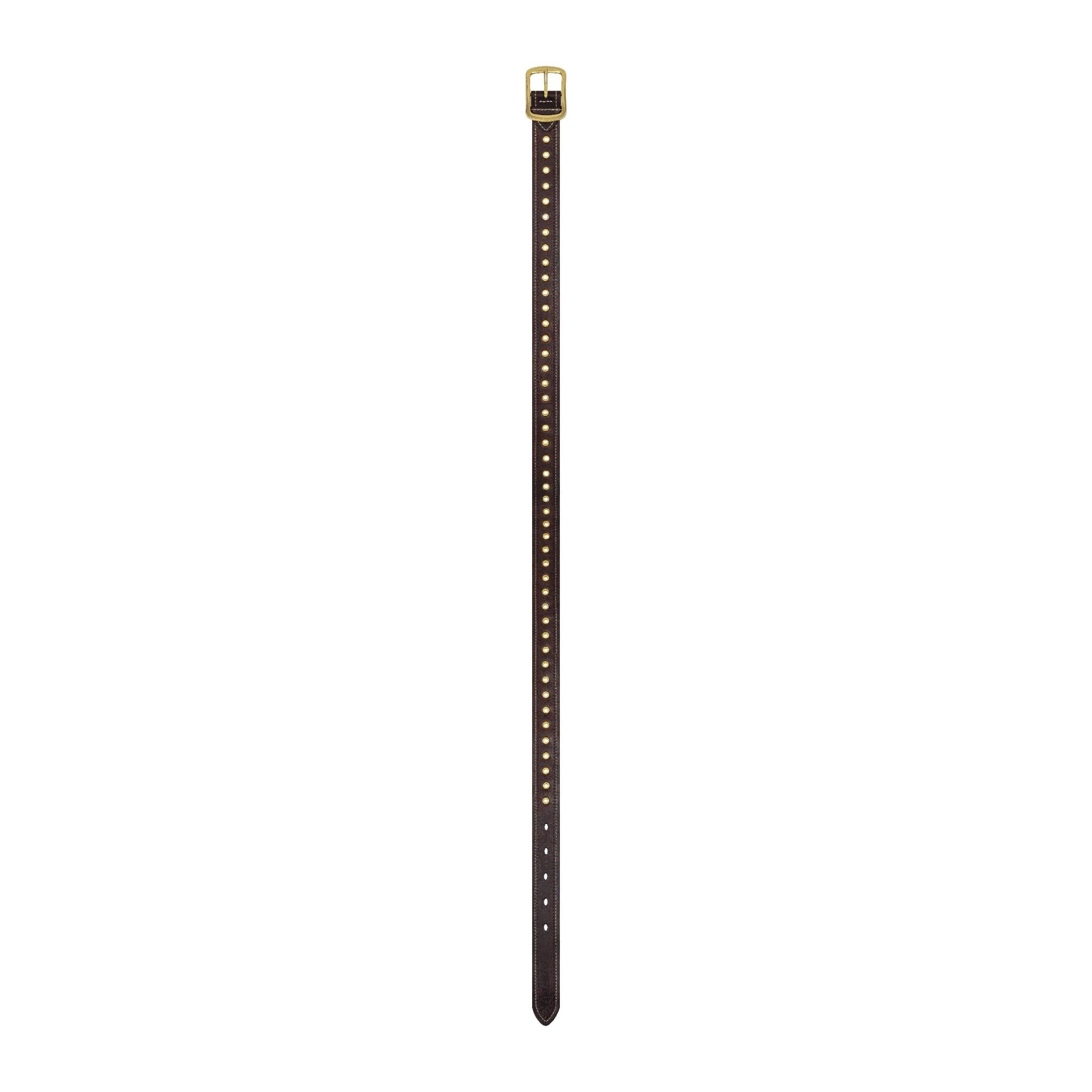  AA EYELET LEATHER BELT // BROWN 