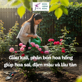  Phân bón hữu cơ dịch chuối humic Docneem 