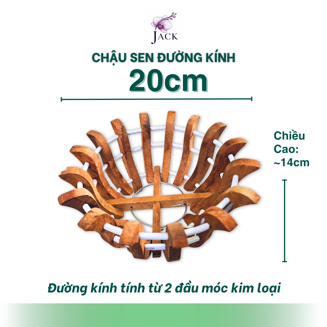  Chậu Gỗ Hình Quả Bí và Hoa Sen Tuyệt Đẹp Trồng Lan, Cây Cảnh 