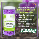  Phân bón tan chậm hoa lan và cây cảnh RYNAN 31-8-8 1.25kg 