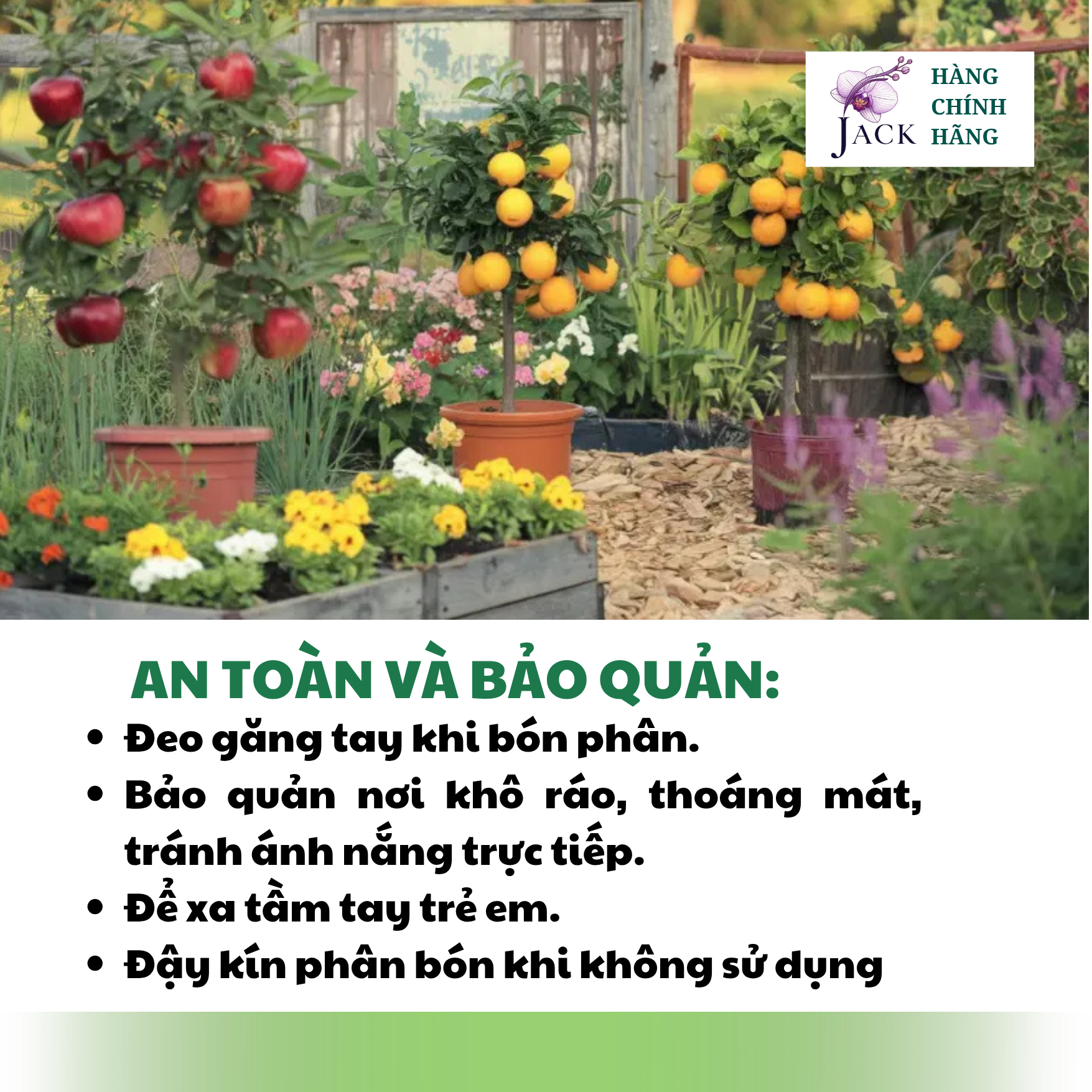  Phân bón tan chậm Rynan NPK 16-16-16 – Dinh dưỡng cân bằng, dùng cho cây có múi 
