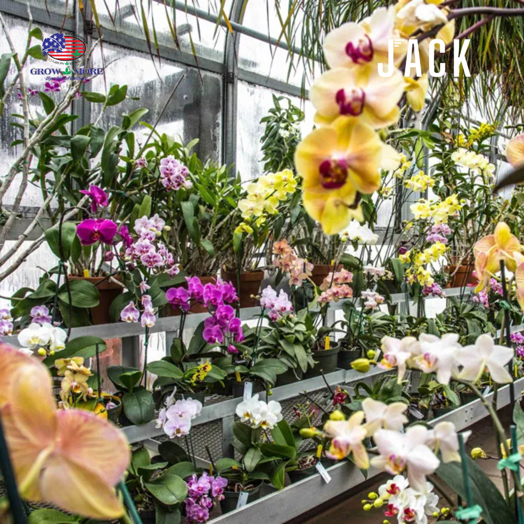  Phân bón lan, cây cảnh dùng mọi giai đoạn Grow More 15-30-15 