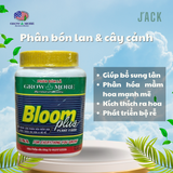  Phân bón siêu kích hoa cho lan và cây cảnh Bloom Growmore 