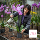  Giá thể Vỏ thông trồng lan Jack đã qua xử lý 