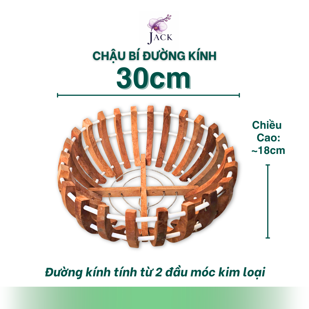 Chậu Gỗ Hình Quả Bí và Hoa Sen Tuyệt Đẹp Trồng Lan, Cây Cảnh 