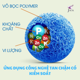 Phân bón tan chậm Rynan NPK 18-8-22 – Dinh dưỡng cho cây ăn trái, cây lâu năm 