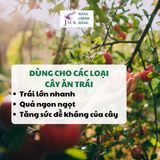  Phân bón tan chậm Rynan NPK 18-8-22 – Dinh dưỡng cho cây ăn trái, cây lâu năm 
