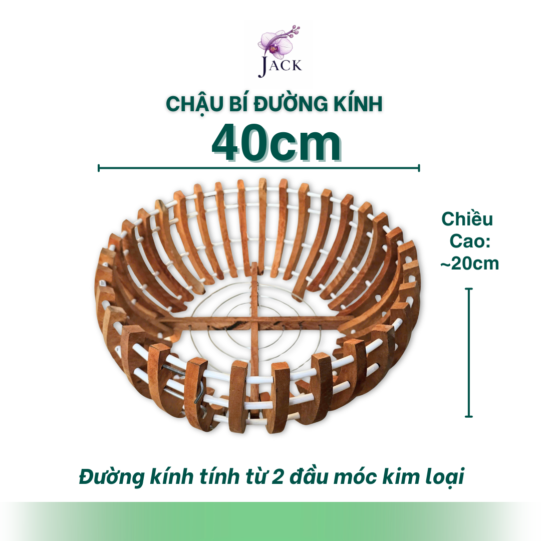  Chậu Gỗ Hình Quả Bí và Hoa Sen Tuyệt Đẹp Trồng Lan, Cây Cảnh 