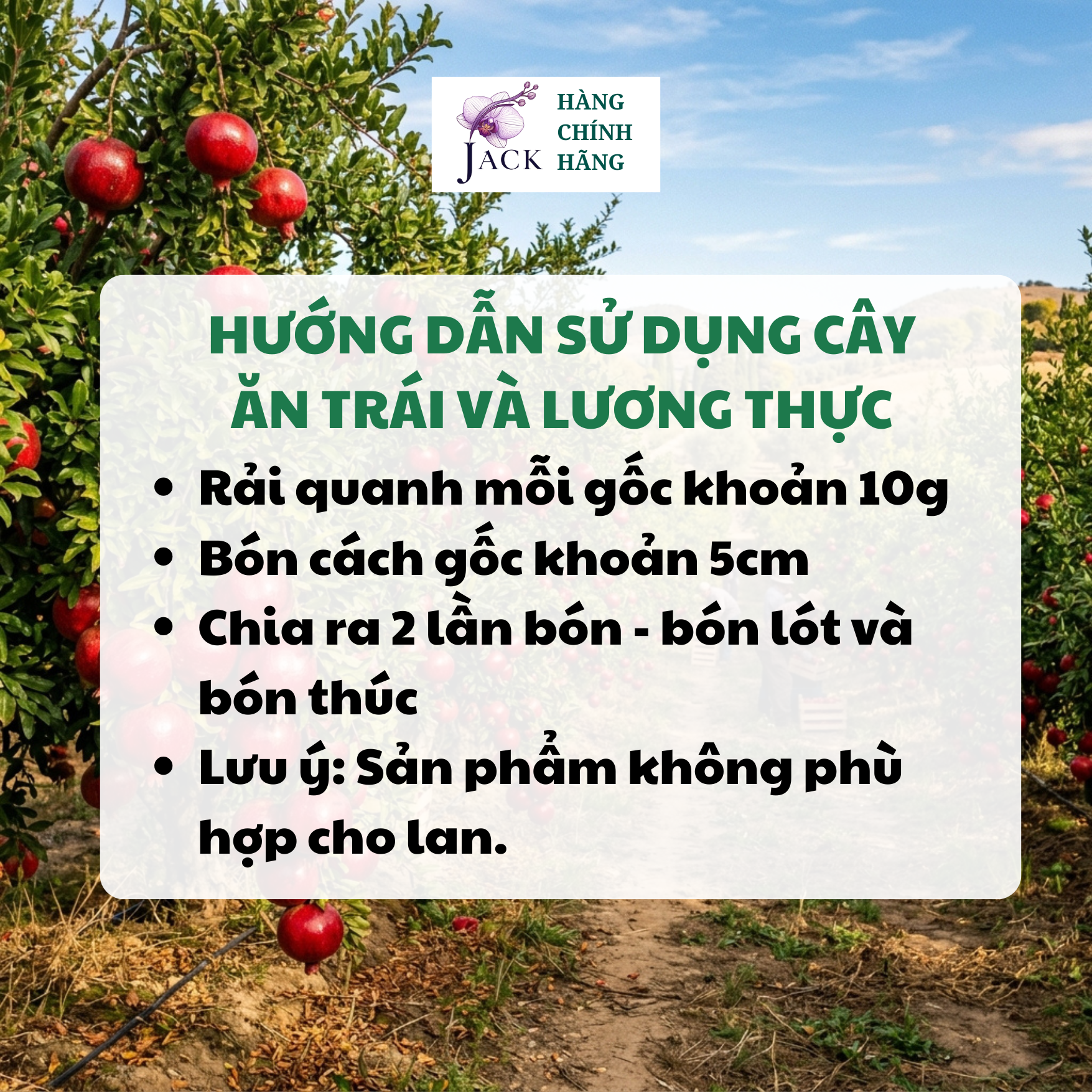  Phân bón tan chậm Rynan NPK 18-8-22 – Dinh dưỡng cho cây ăn trái, cây lâu năm 