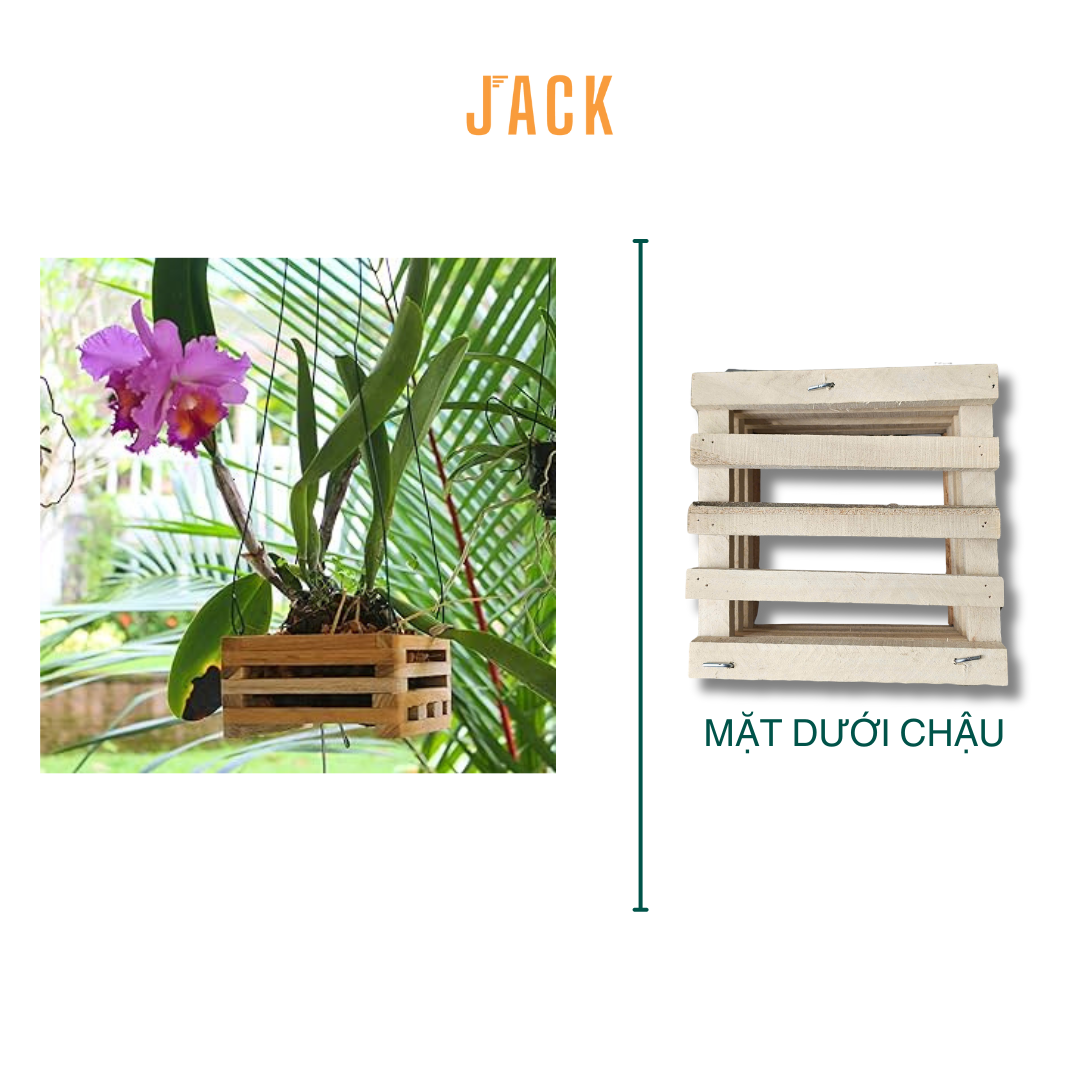  Chậu gỗ vuông trồng lan & cây cảnh cao cấp Jack kèm móc treo 
