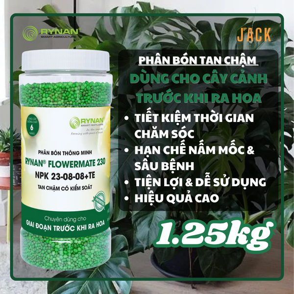  Phân bón tan chậm cây cảnh RYNAN 23-08-08 dưỡng lá và chồi Lọ 1.25kg 