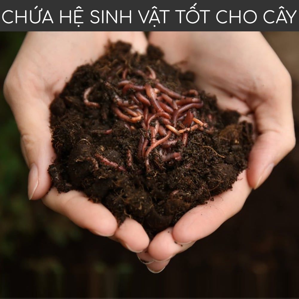  Phân trùn quế MONROVIA cho hoa, lan, rau, cây cảnh cao cấp 