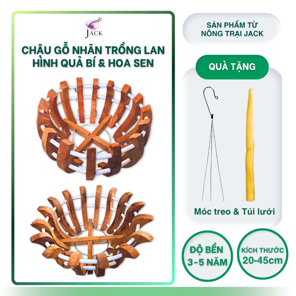  Chậu Gỗ Hình Quả Bí và Hoa Sen Tuyệt Đẹp Trồng Lan, Cây Cảnh 