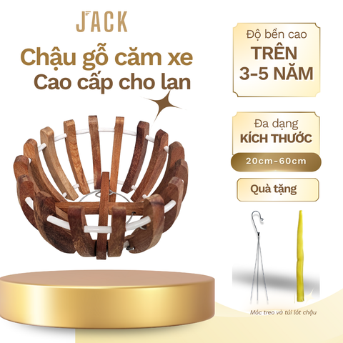 Chậu Trồng Hoa Lan & Cây Cảnh