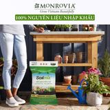  Đất trồng cây bổ sung nấm đối kháng, đá perlite MONROVIA 