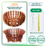  Chậu Gỗ Hình Quả Bí và Hoa Sen Tuyệt Đẹp Trồng Lan, Cây Cảnh 