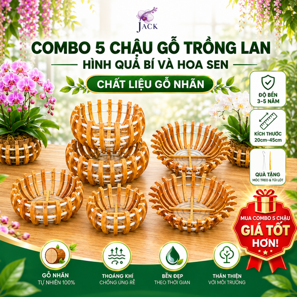  Combo 5 Chậu Gỗ Trồng Lan Hình Quả Bí và Hoa Sen Tuyệt Đẹp 