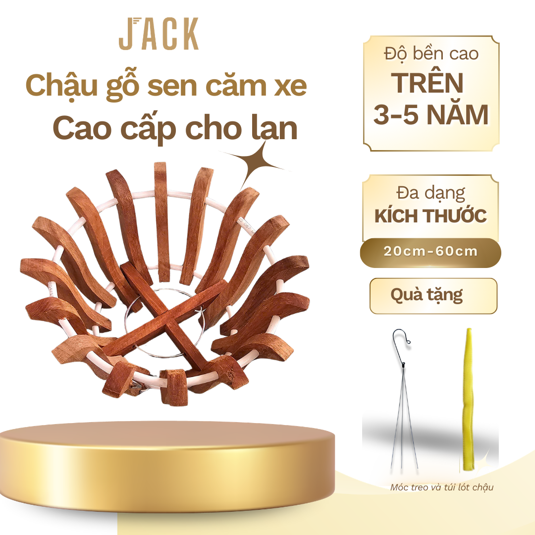  Chậu gỗ căm xe trồng lan Jack hình hoa sen cao cấp 