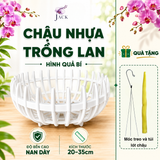  Combo 5 Chậu Nhựa Trồng Lan Hình Quả Bí — 5 Kích Thước, 2 Màu, Bền Nhẹ 