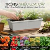  Bộ Chậu Chữ Nhật Monrovia — Chậu Nhựa PP Cao Cấp Trồng Cây Ban Công, Cửa Sổ 