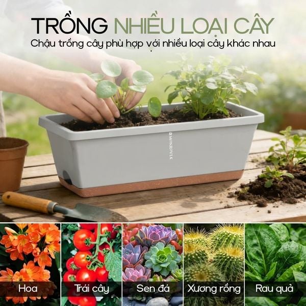  Bộ Chậu Chữ Nhật Monrovia — Chậu Nhựa PP Cao Cấp Trồng Cây Ban Công, Cửa Sổ 