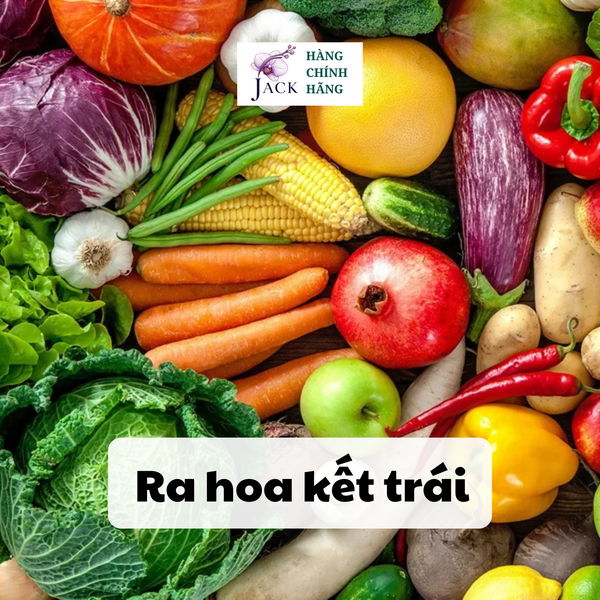  Phân bón tan chậm Rynan NPK 20-15-15 – Dinh dưỡng cân đối cho cây họ leo bầu bí, mướp, dưa leo 
