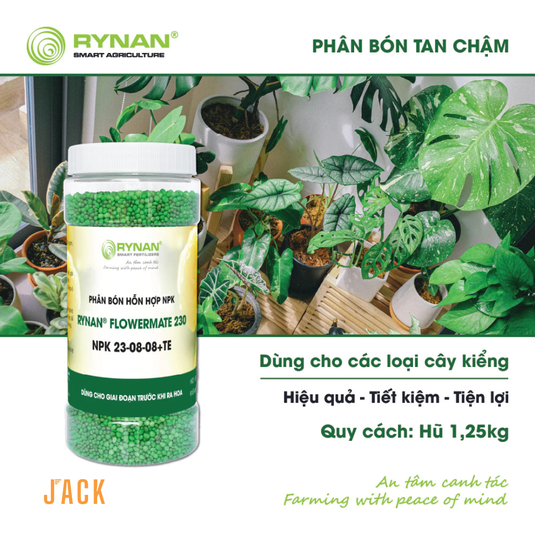  Phân bón tan chậm cây cảnh RYNAN 23-08-08 dưỡng lá và chồi Lọ 1.25kg 