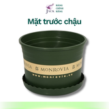  Chậu nhựa trồng cây MONROVIA Size Nhỏ 