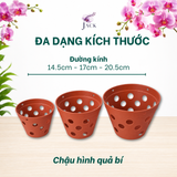  Chậu Nhựa Trồng Lan Màu Đất Nung — Bền, Đẹp, Nhẹ, Thoáng Khí — Tặng Kèm Móc Treo 