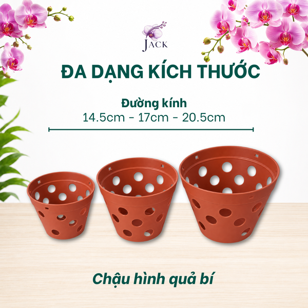  Chậu Nhựa Trồng Lan Màu Đất Nung — Bền, Đẹp, Nhẹ, Thoáng Khí — Tặng Kèm Móc Treo 