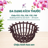  Chậu Nhựa Trồng Lan Hình Hoa Sen Jack - Nan Dày, Kèm Móc 