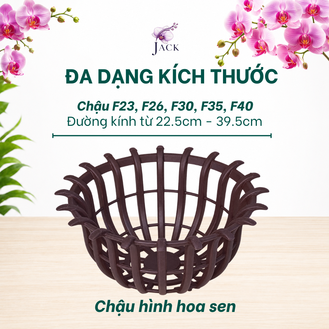  Chậu Nhựa Trồng Lan Hình Hoa Sen Jack - Nan Dày, Kèm Móc 