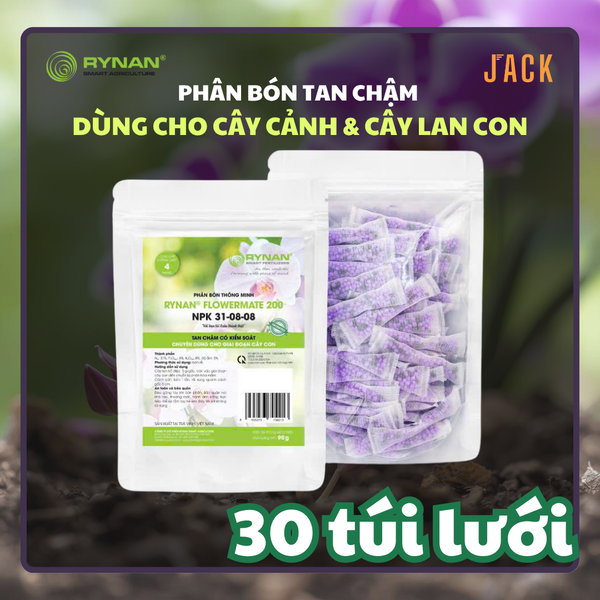  30 túi lưới phân bón tan chậm lan và cây cảnh RYNAN 31-08-08 