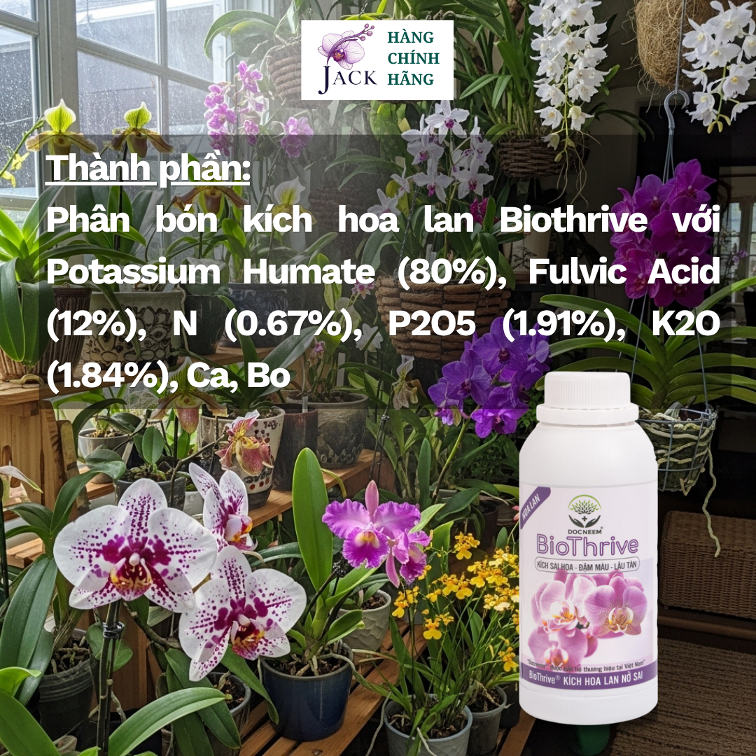  Phân bón kích hoa Lan Biothrive DOCNEEM – Ra nụ mạnh, hoa dày, màu sắc rực rõ Bình 500ml 