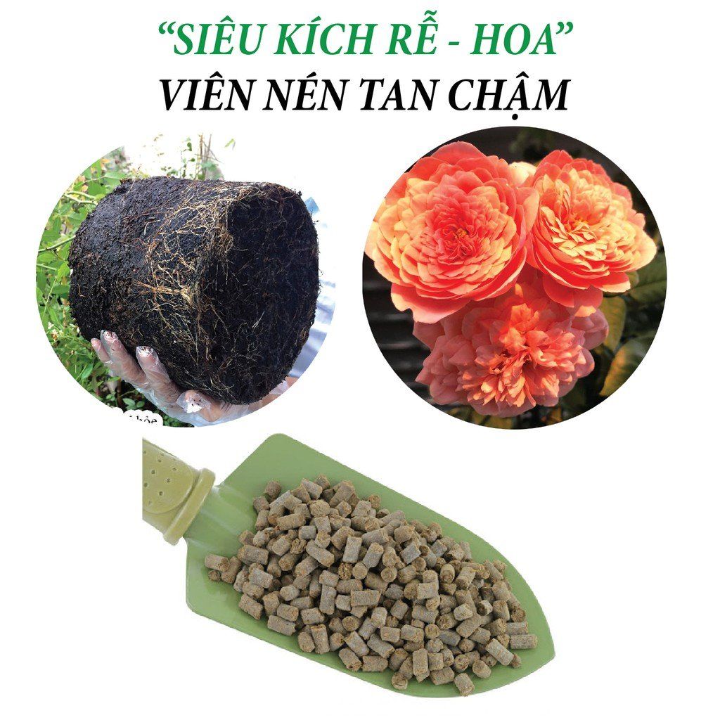  Phân bón hữu cơ rong biển DOCNEEM cho cây cảnh, lan, rau củ 