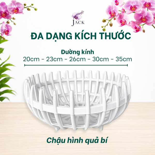  Combo 5 Chậu Nhựa Trồng Lan Hình Quả Bí — 5 Kích Thước, 2 Màu, Bền Nhẹ 