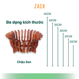  Chậu Gỗ Hình Quả Bí và Hoa Sen Tuyệt Đẹp Trồng Lan, Cây Cảnh 